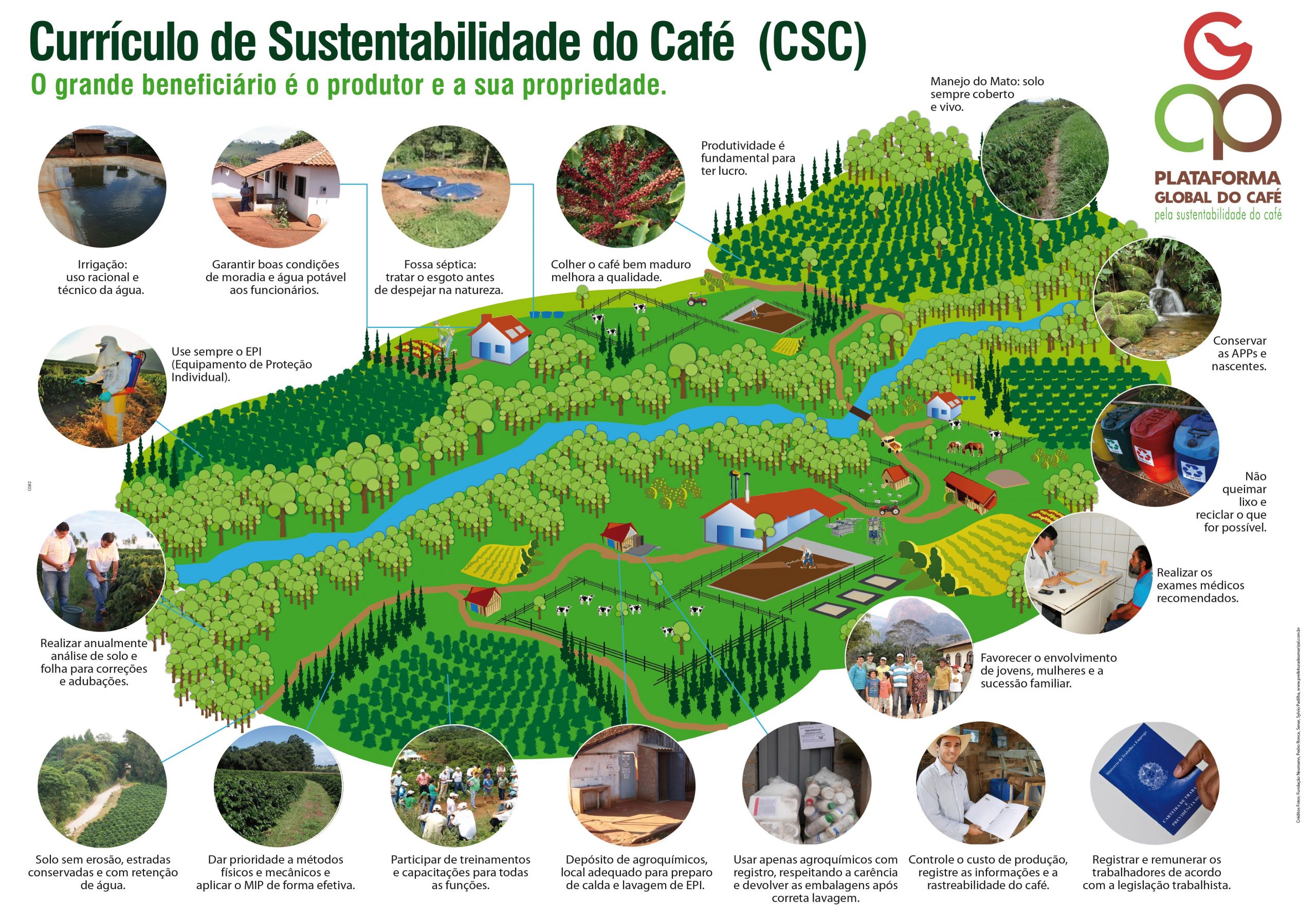 Curriculo de sustentabilidade do café CSC