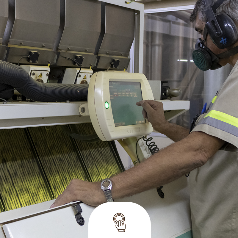 Rebeneficiamento de café na exportadora guaxupe