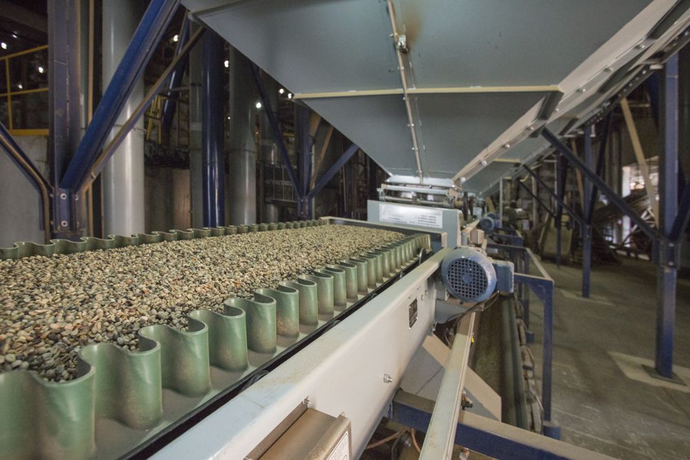 Linha de produção Exportadora de Cafe