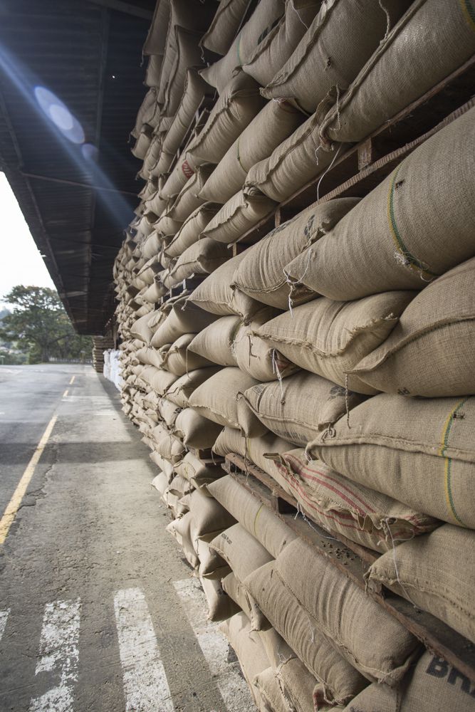 Sacas de cafe exportadora guaxupe