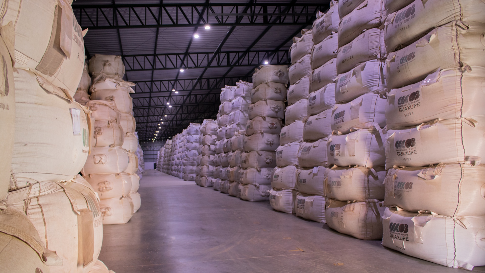 na exportadora guaxupe cuidamos do seu café
