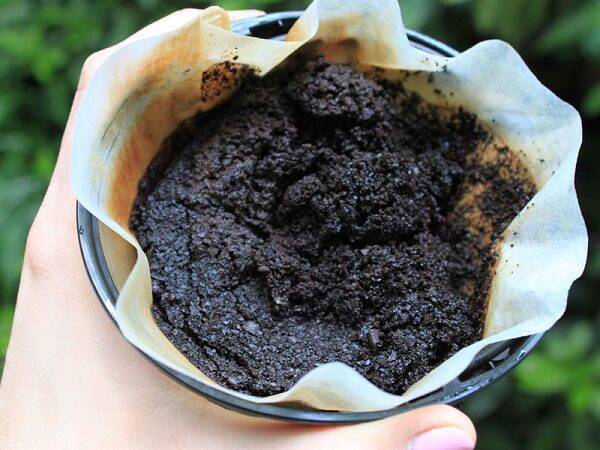 Diferenças entre os cafés arábica e conilon - Exportadora de Café Guaxupé